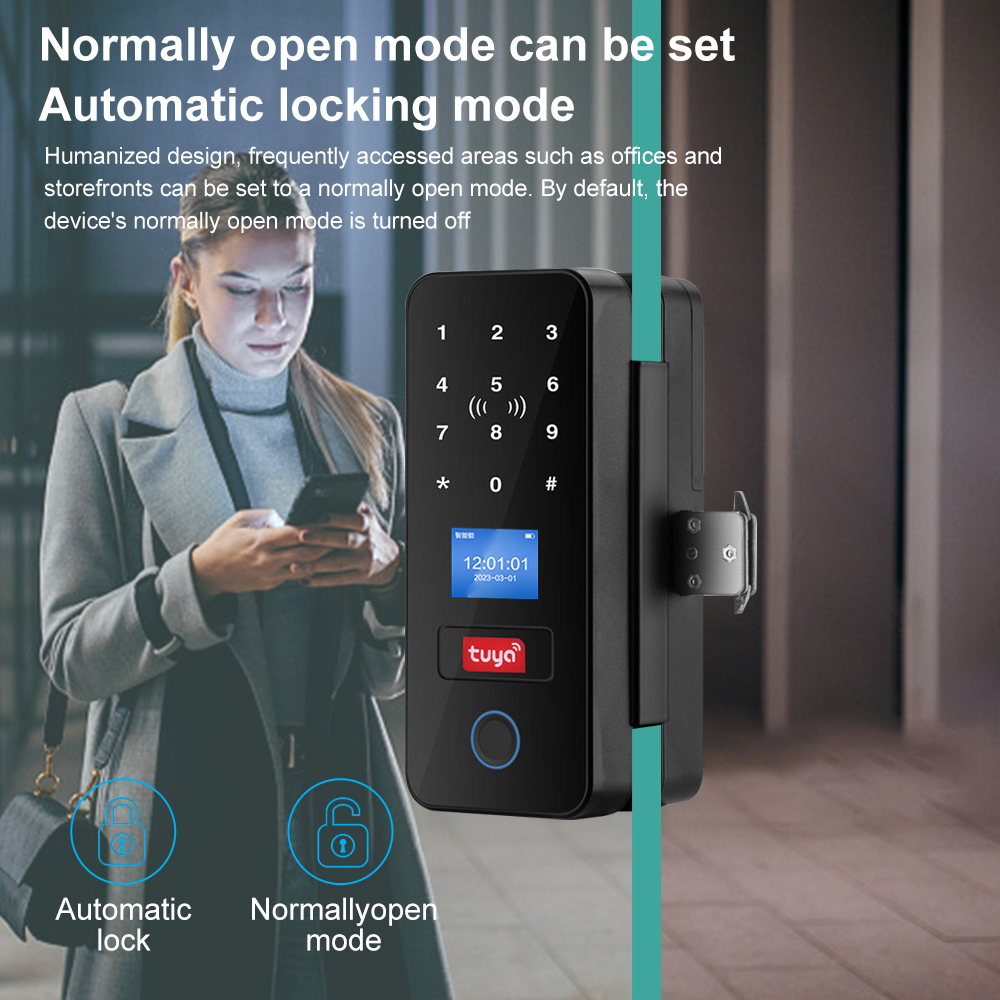 ダブルフックスマートガラスドアロックガラス引き戸 Tuya  - Smart Garden Gate Lock のレビューと価格